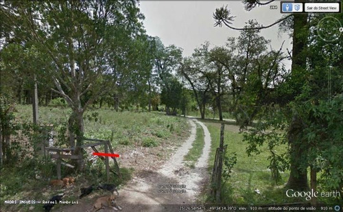 Imagem 7 de 10 de Terreno Para Venda Em Campo Largo, Bolsa Nova - 811_2-154242
