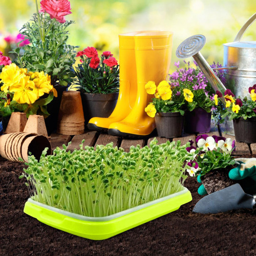 Bandejas De Cultivo Bandeja Para Germinar Plantas Bandeja De