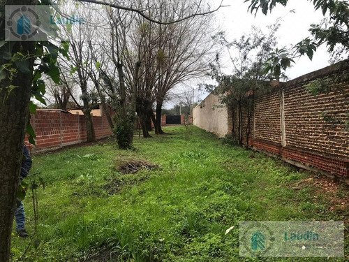 Imagen 4 de 4 de Se Vende Terreno - Santo Tome