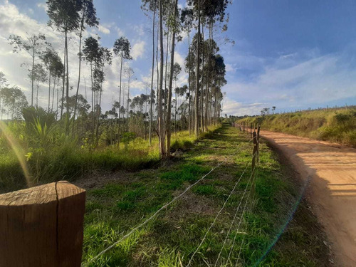 Imagem 7 de 7 de O Melhor Lugar, Sem Padrão Para Construção