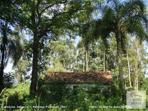 Imagem 6 de 15 de Área Rural Para Venda Em Mariana Pimentel, Linha Preta - Mariana Pimentel - 1148_1-731320