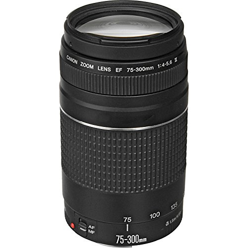 Canon Ef  in Telephoto Zoom Lens For Slr Camara Renewed Cg