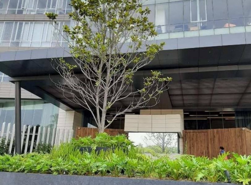 Imagen 11 de 12 de Departamento Nuevo Renta Sur Highpark Gransur Cdmx, 59979