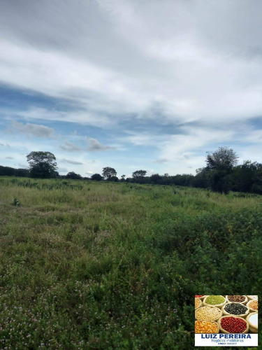 Imagem 2 de 15 de Fazenda À Venda Em Marianópolis - To - De 429 Alqueirão (dupla Aptidão) - 1682