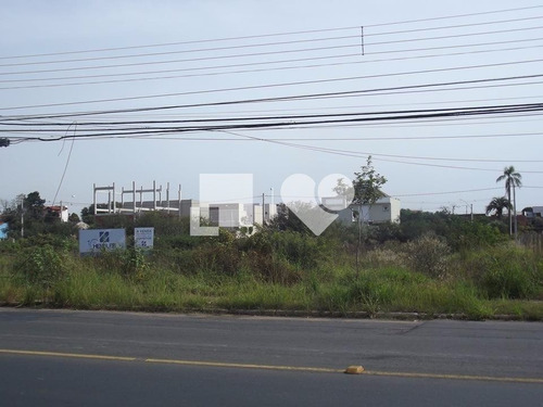 Imagem 1 de 3 de Terreno - Estancia Velha - Ref: 43496 - V-58465668