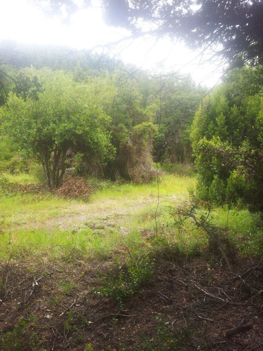 Imagen 3 de 11 de Venta Terreno En Meliquina Lote 5 Mza 16 988,83 M2