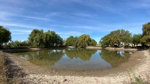 Venta | Finca | Anchoris | Tupungato | Mendoza