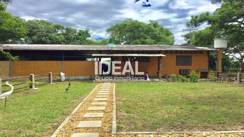 Ideal Vende Extraordinaria Finca Productiva Con Facil Acceso En Tucacas Estado Falcon.