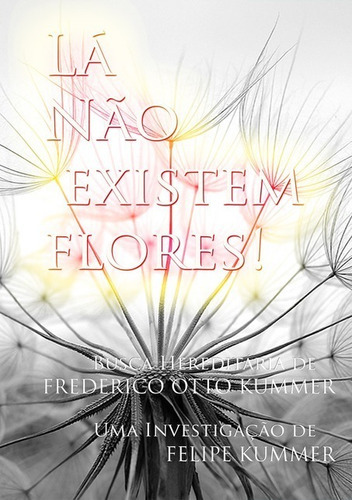 Lá Não Existem Flores: Busca Hereditária De Frederico Otto Kummer, De Felipe Kummer. Série Não Aplicável, Vol. 1. Editora Clube De Autores, Capa Mole, Edição 1 Em Português, 2012