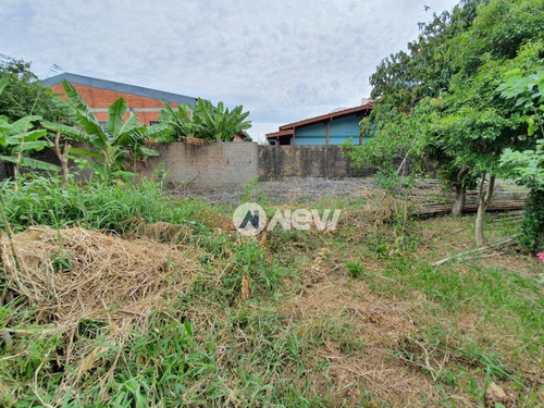 Imagem 11 de 17 de Terreno Plano Com 1.364 M² Por R$ 1.200.000 - Vila Rosa - Novo Hamburgo/rs - Te1070