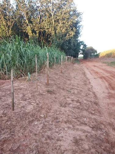 Propriedade Rural