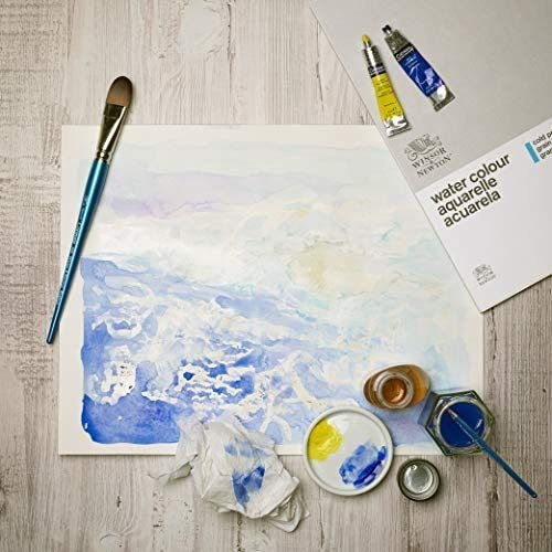 Pintura Acuarela Winsor & Newton Cotman, Tubo De 21 Ml (0)