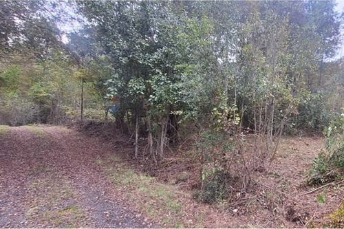 Venta De Terreno En Caburgua