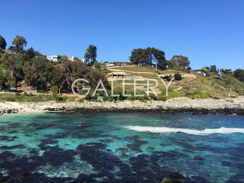 Casa En Cachagua Recién Remodelada Con Vista Al Mar