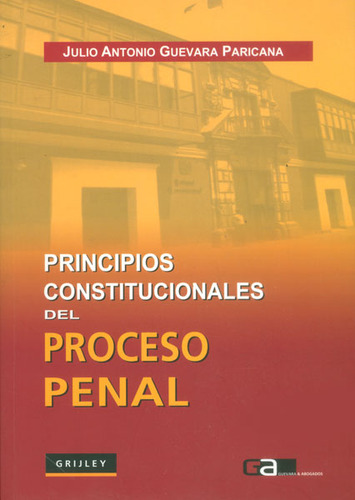 Principios Constitucionales Del Proceso Penal, De Julio Antonio Guevara. Serie 9972041396, Vol. 1. Editorial Distrididactika, Tapa Blanda, Edición 2007 En Español, 2007