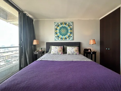 Arriendo Departamento Moderno Y Luminoso Santiago Centro