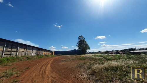 Terreno Para Locação Em Guarapuava, Industrial - _2-1184539