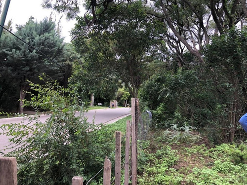 Terreno 4000 M2 En Venta En Villa Elena - Cortaderas