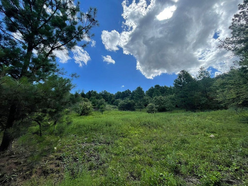Se Vende Lote De 4 Hectareas En San Clemente