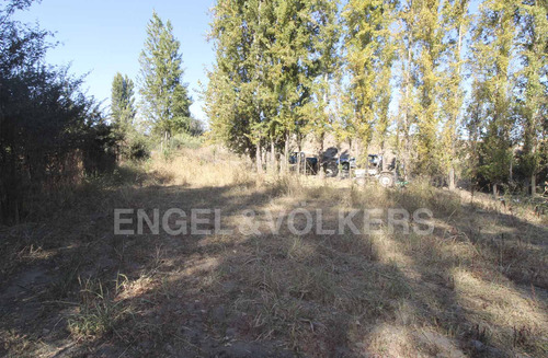 Terreno En Olivar
