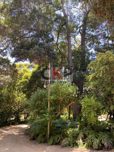 Gran Casa Con Parque Privado En Santo Domingo