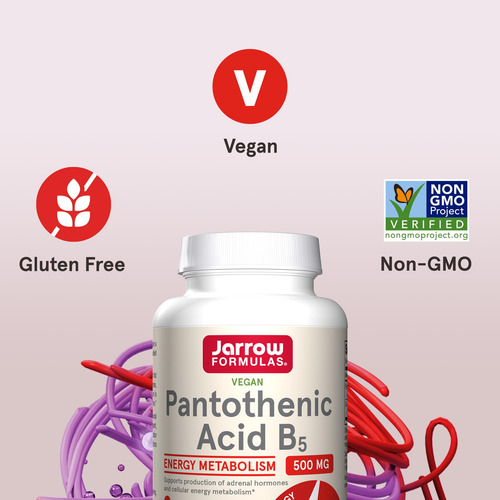Suplemento Jarrow Formulas Ácido Pantotênico B5 500 Mg 100 C