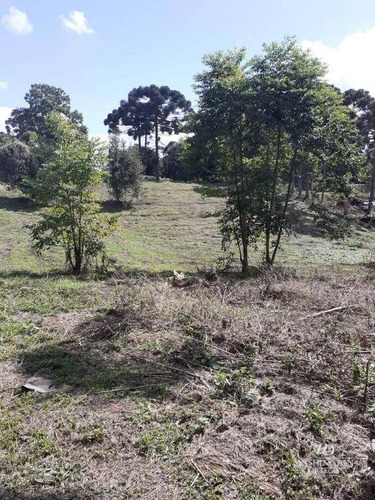 Imagem 13 de 14 de Chácara À Venda, 34000 M² Por R$ 1.900.000,00 - Colônia Murici - São José Dos Pinhais/pr - Ch0061