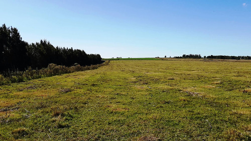 Imagen 9 de 18 de Hermosas Chacras Campos De 3 Hectareas En Tala