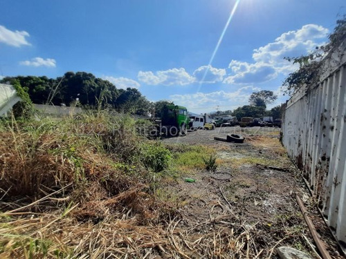 Imagen 10 de 10 de Terreno En Venta En Ave Acosta Carles, San Juan De Los Morros 22-16738 / 0424-3392775