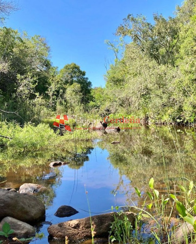 Imagen 25 de 30 de Venta - Chacra De 45 Has Muy Pintorescas En Villa Serrana