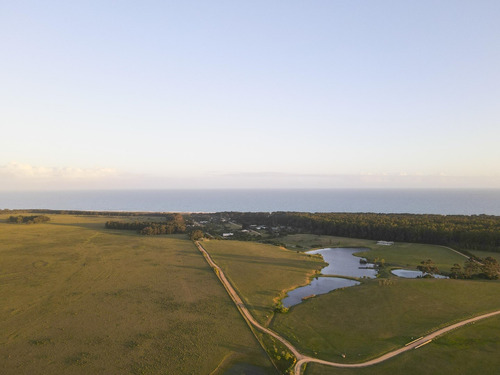 Imagen 16 de 30 de Terreno Lote En Venta Ubicado En Playa Brava, Punta Del Este, Punta Del Este / Maldonado