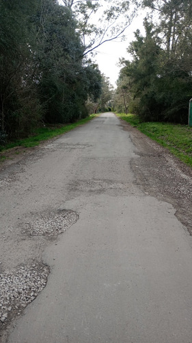 Lotes En Fátima