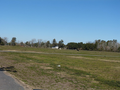 Terreno Lote En Venta En Parada Robles, Exaltación De La Cruz, G.b.a. Zona Norte