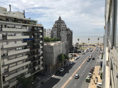 Alquiler Apartamento Pocitos  5 Dormitorios Servicio