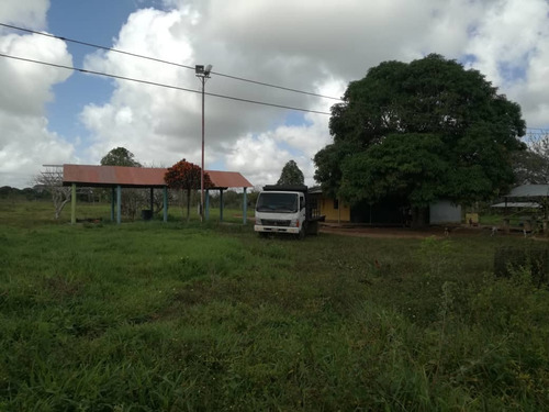 Imagen 5 de 10 de Se Vende Finca En Caicarita Ve02-005cdm-ml