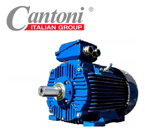 Motor Electrico Trifasico Italiano 60hp 1750rpm 230v/440v B3