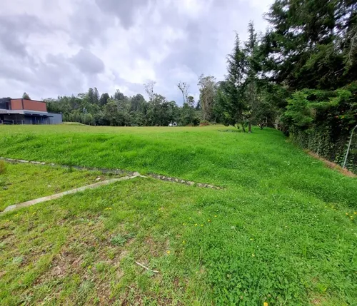 Lote En Venta En Alto De Las Palmas Vereda La Esperanza