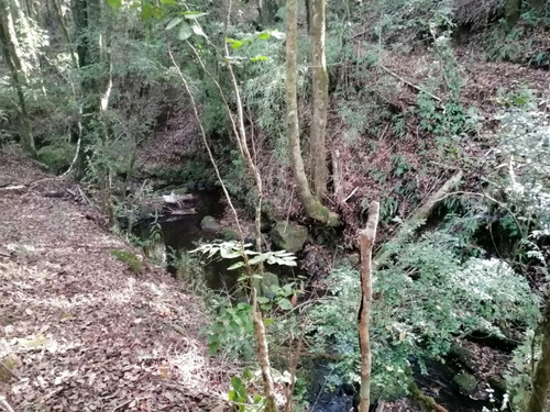 Imagen 30 de 30 de Casa Caburgua/caburgua
