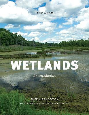 Libro Wetlands : An Introduction - Theda Braddock