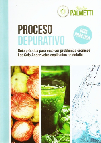 Imagen 1 de 6 de El Proceso Depurativo - Nestor Palmetti - Libro Envio En Dia