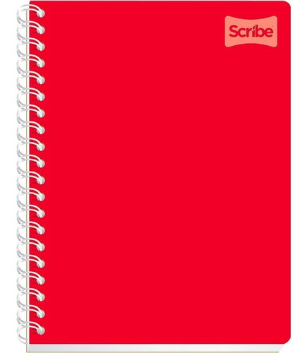 3 Cuadernos Profesionales Scribe Policover Cuadro Chico