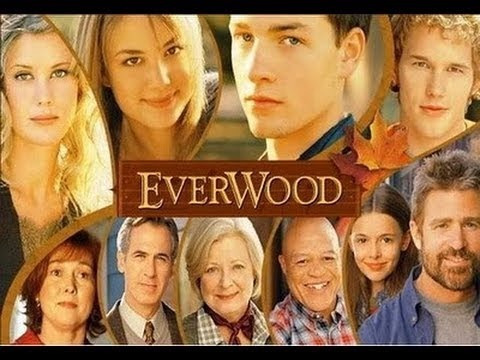 Everwood Coleção Legendada Completa Com Caixinhas E Encartes