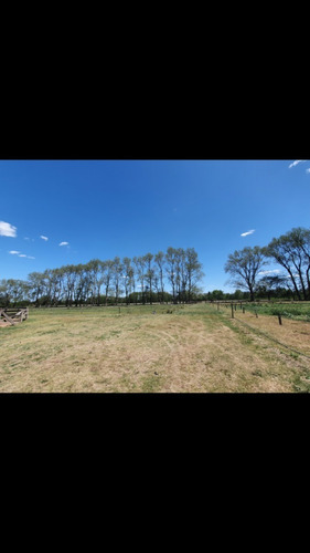 Imagen 2 de 10 de Alquiler Haras 10 Ha Establecimiento Hipico 24 Caballerizas, Silo, Galpon 150mts, Casa Encargado