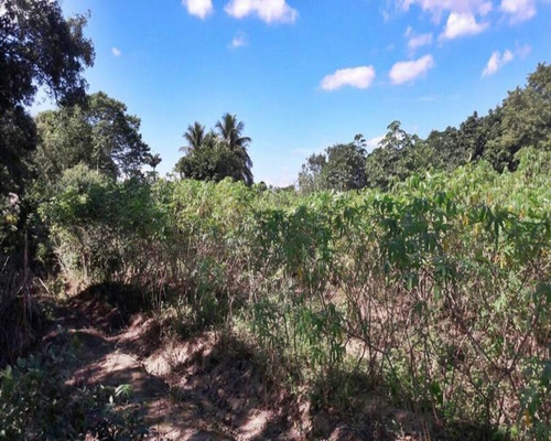 Imagem 4 de 18 de Terreno Em Santa Cândida - 200 - 34209886