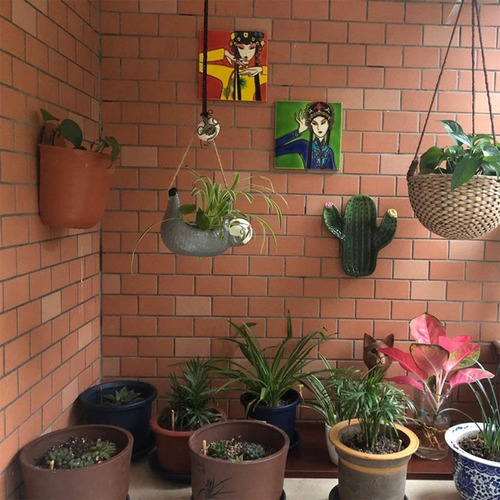 Macetas Suculentas Macetas Para Plantas De Animales Macetas