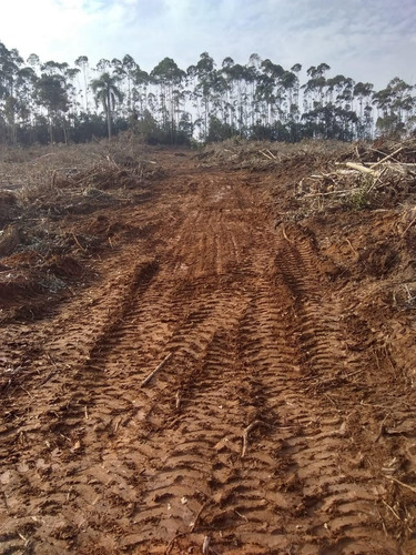 Imagem 12 de 14 de I20- Venha Realizar Seu Lote Em Ibiuna Prox Ao Asfalto