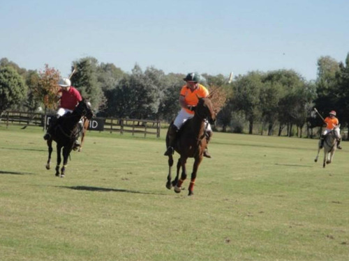 Tres Pinos - Lote 1000mts Barrio Polo - Oportunidad En Pesos