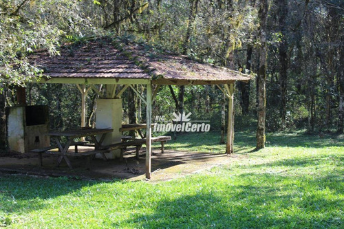 Imagem 24 de 30 de Chácara Rural À Venda, Areia Branca, Mandirituba. - Ch0004