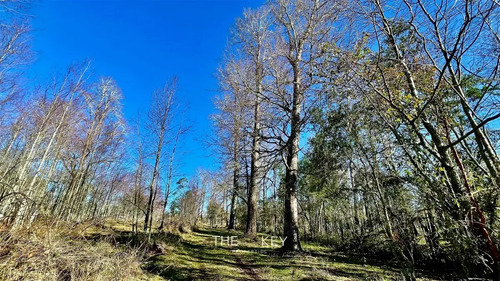 Parcela En Venta En Pedregoso, Villarrica.