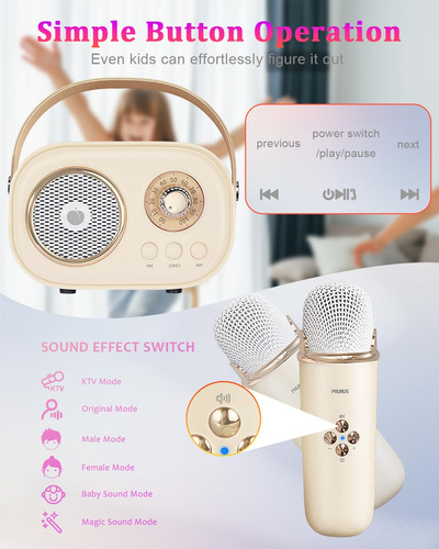 Mini Máquina De Karaoke Bluetooth Con 2 Micrófonos Inalámbri